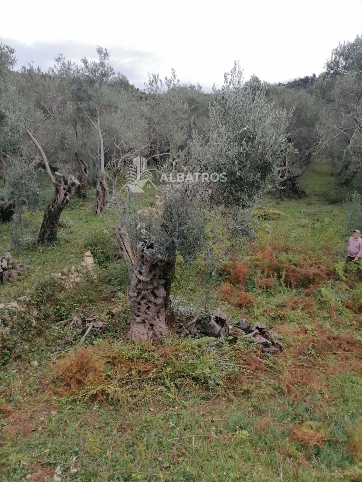Plac 2.250 m² – Ulcinj — fotografija 7