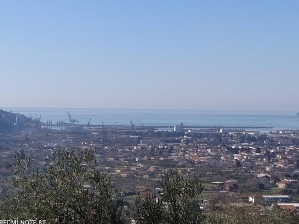 Plac sa starim maslinama u Čelugu