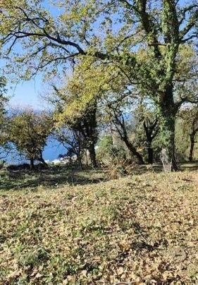 Plac 1.227 m² – Dobra Voda, Bar — fotografija 3