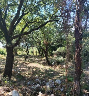 Plac 1.227 m² – Dobra Voda, Bar — fotografija 10
