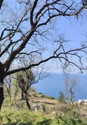 Plac 1.227 m² – Dobra Voda, Bar — fotografija 11