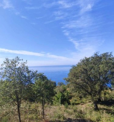 Plac 1.227 m² – Dobra Voda, Bar — fotografija 12