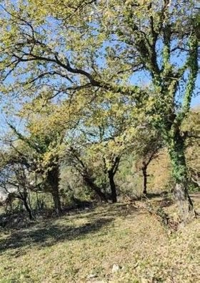 Plac 1.227 m² – Dobra Voda, Bar — fotografija 13