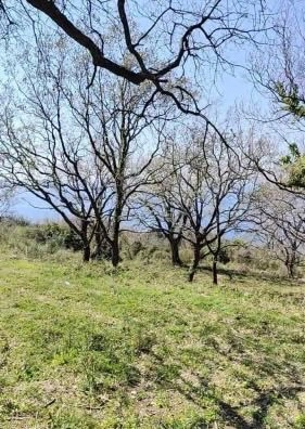 Plac 1.227 m² – Dobra Voda, Bar — fotografija 15