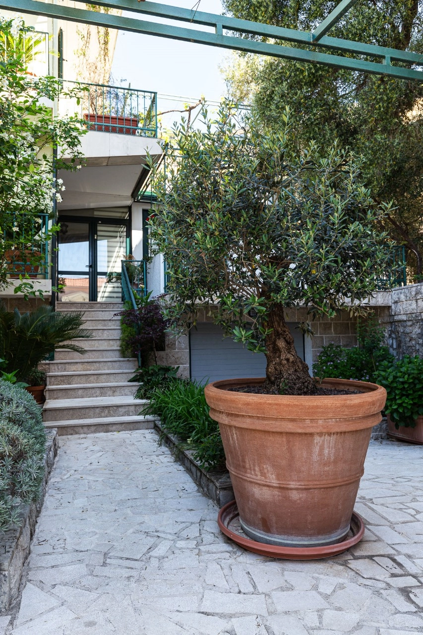 Porodicna-kuca-u-Podkosljunu-Budva-11 Kuća 287 m² – Podkošljun, Budva — fotografija 12