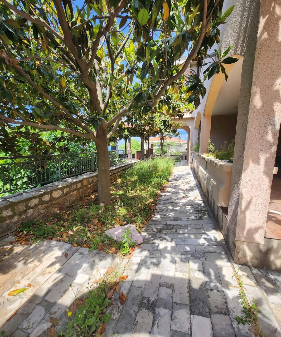 Kuca-sa-apartmanima-i-pogledom-na-more-Blizikuce-Budva-14 Kuća 145 m² – Blizikuće, Budva — fotografija 15