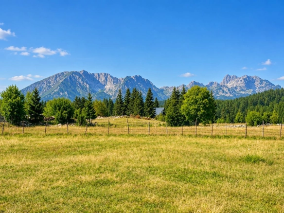 Plac sa pogledom prema Durmitoru, Borje, Žabljak