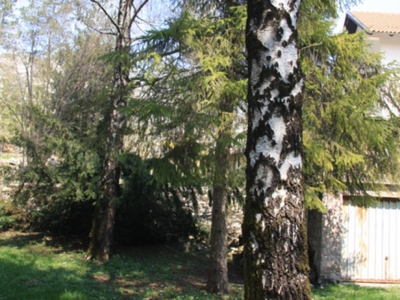 Plac 39.500 m² sa pogledom na grad
