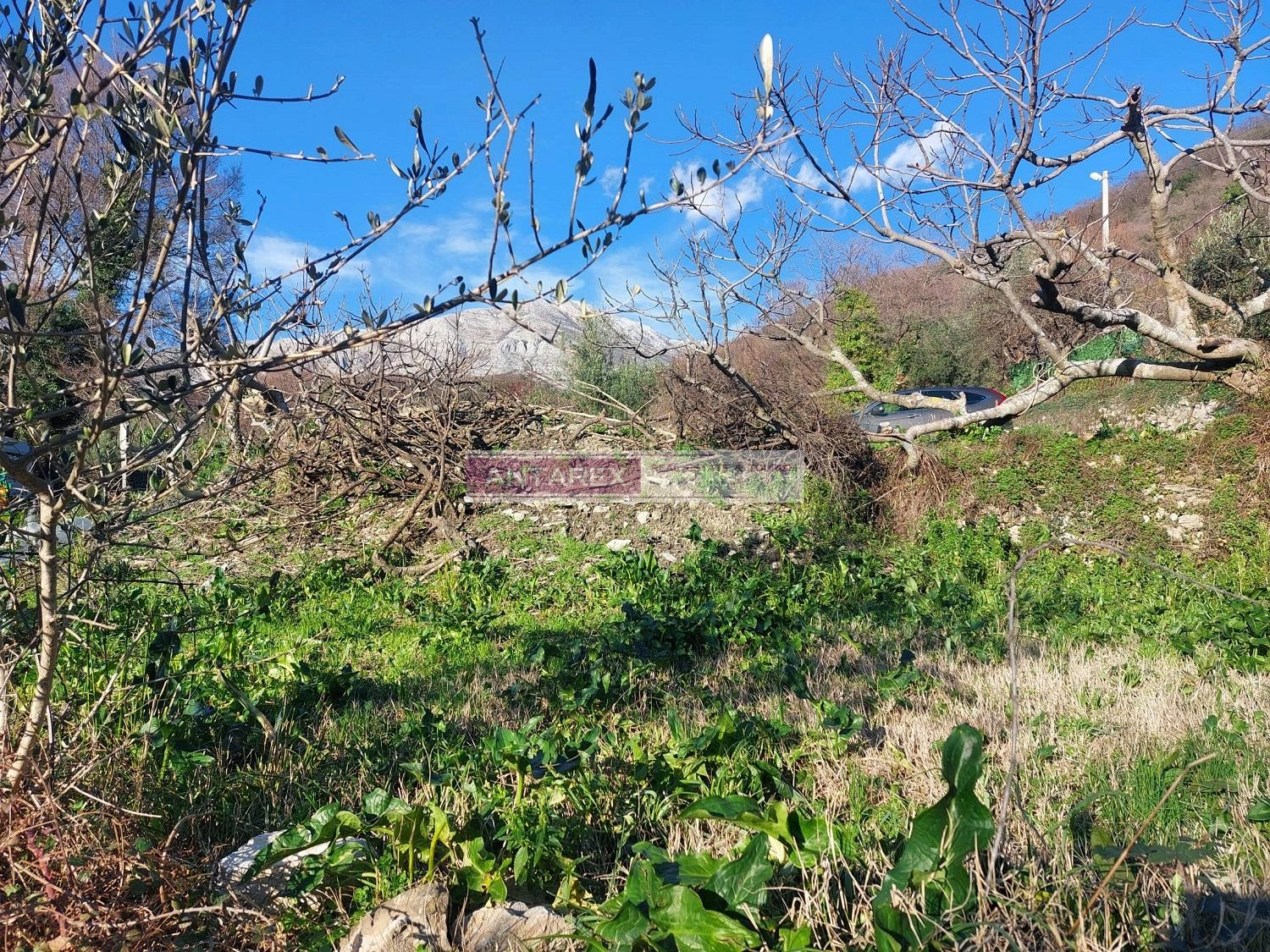Plac-sa-dozvolom-za-gradnju-u-Suscepanu-Herceg-Novi-7 Plac 765 m² – Sušćepan, Herceg Novi — fotografija 8