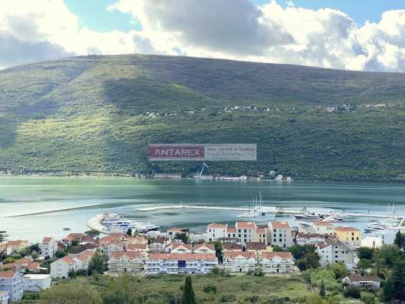 Plac sa projektom za stambene zgrade u Đenovićima