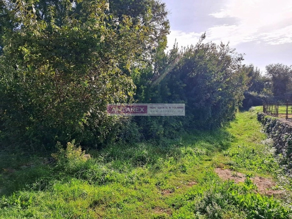 Urbanizovan plac u Radanovićima