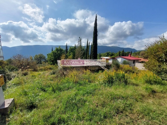 Kuća sa velikim placom u Mojdežu