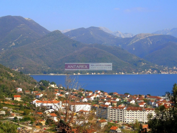 Plac sa kamenim objektima i maslinama u Bijeloj
