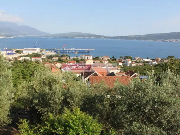 Plac sa maslinjakom u Bijeloj