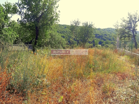Plot od 2500 m² u Zeleniki