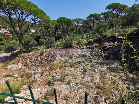 Urbanizovan plac u Mirištu na Luštici