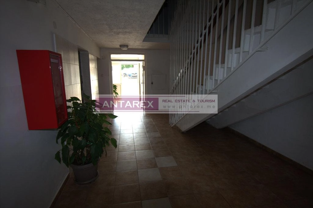 Jednosoban stan 31 m² – Savina, Herceg Novi — fotografija 2