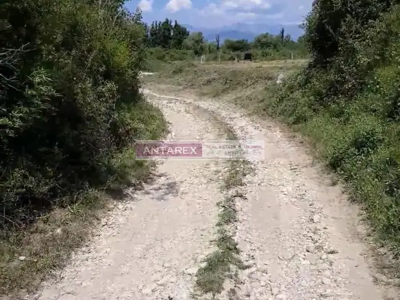 Plac u Đuraševićima na Luštici