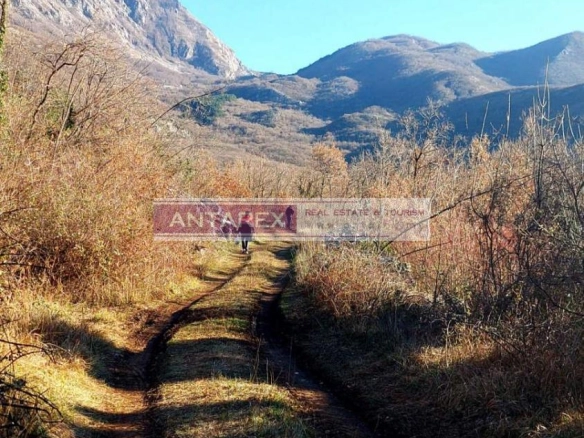 Plac 16.000 m² – Radanovići, Kotor — fotografija 2