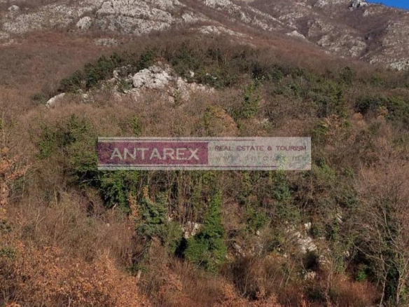 Plac 16.000 m² – Radanovići, Kotor — fotografija 3