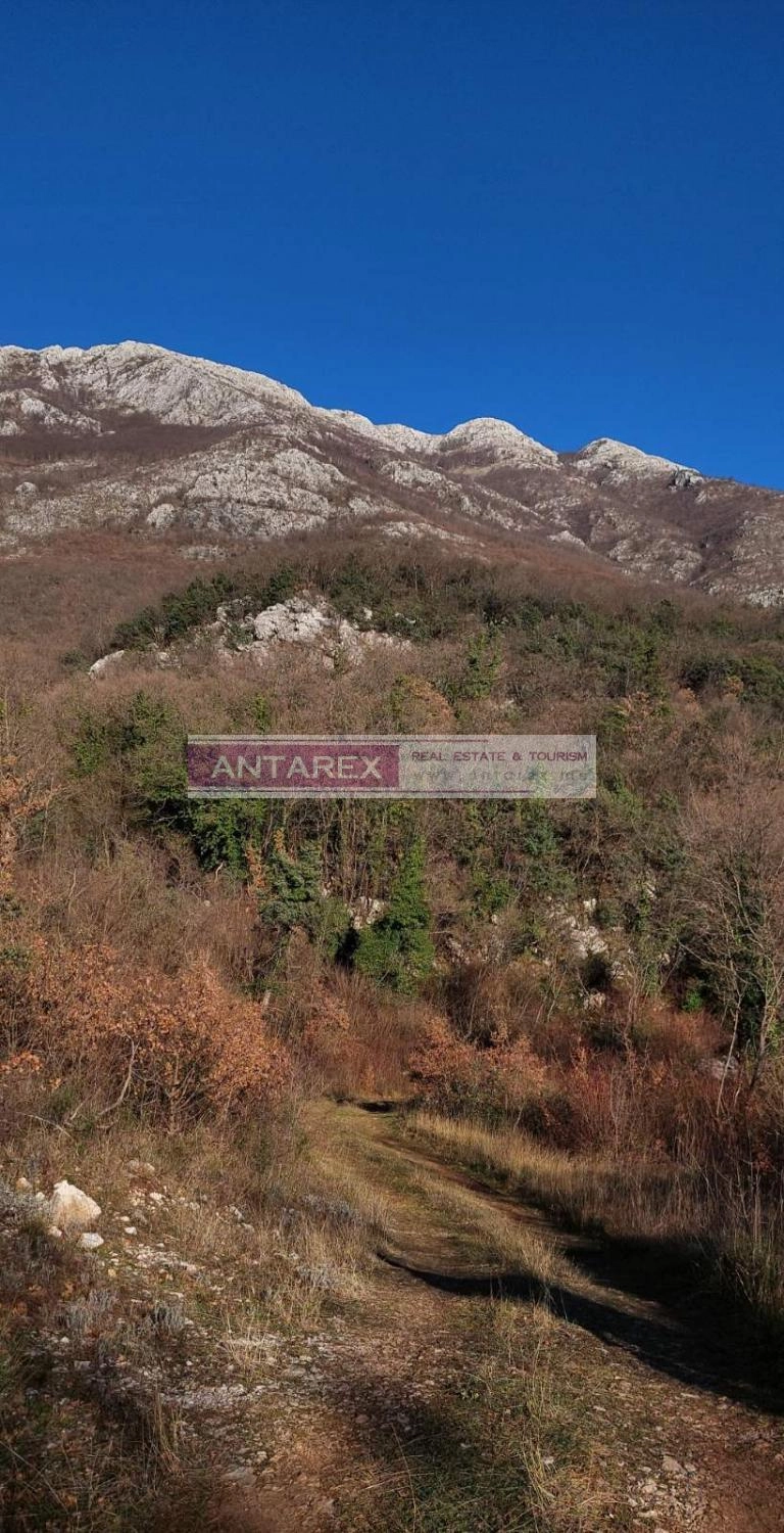 Plac 16.000 m² – Radanovići, Kotor — fotografija 3