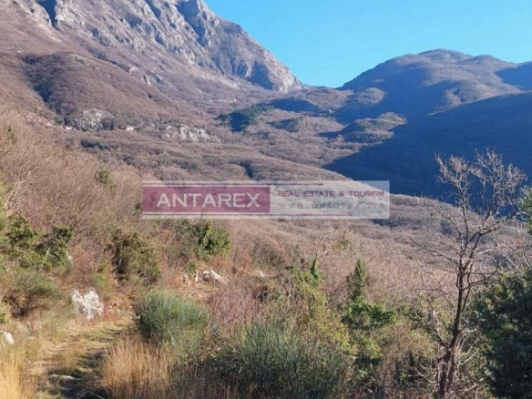 Plac 16.000 m² – Radanovići, Kotor — fotografija 4