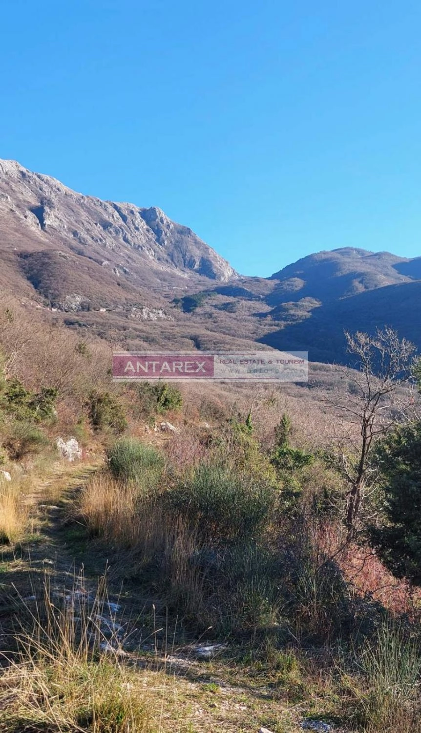 Plac 16.000 m² – Radanovići, Kotor — fotografija 4