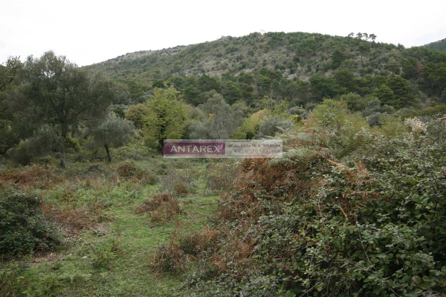Plac-s-pogledom-na-more-u-Mrcevcu-Tivat Plac s pogledom na more u Mrčevcu