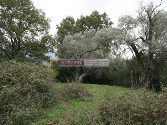 Plac 30.000 m² – Tivat — fotografija 2
