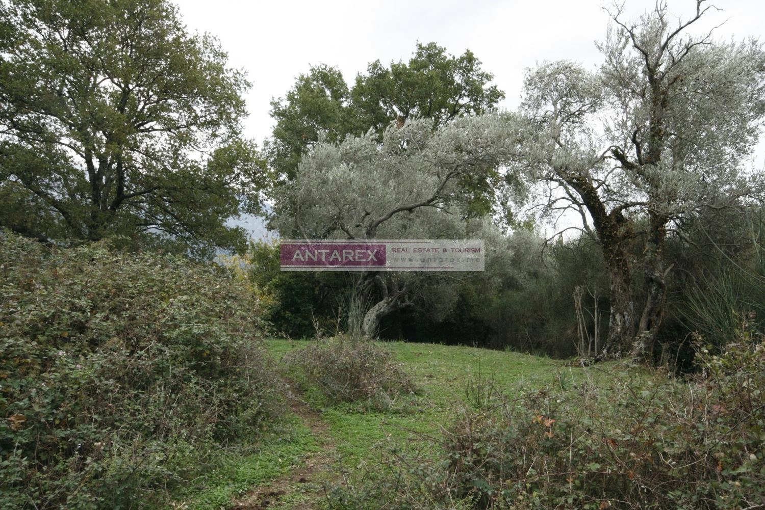 Plac-s-pogledom-na-more-u-Mrcevcu-Tivat-1 Plac 30.000 m² – Tivat — fotografija 2