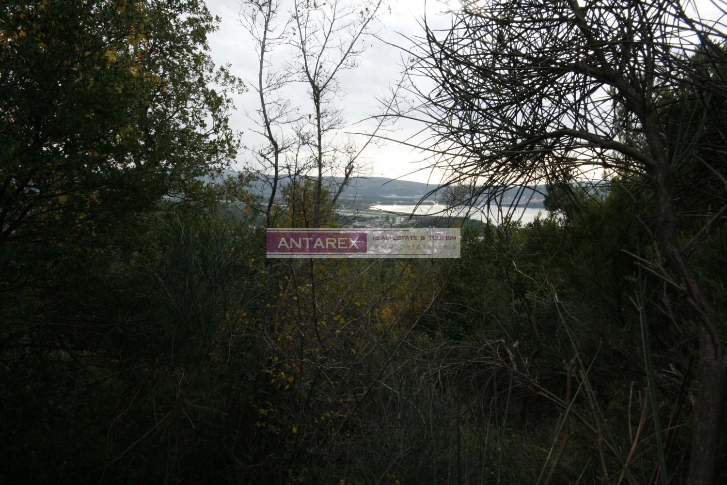 Plac-s-pogledom-na-more-u-Mrcevcu-Tivat-2 Plac 30.000 m² – Tivat — fotografija 3