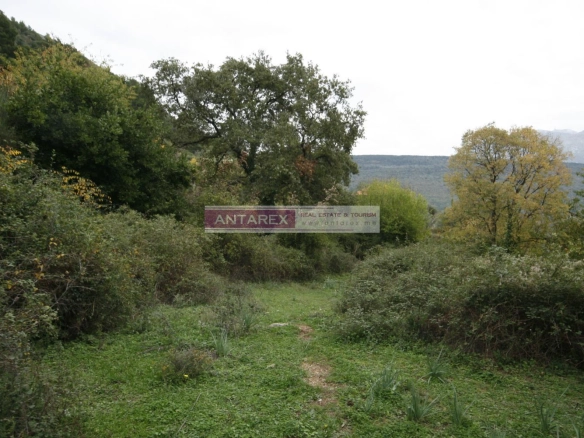 Plac 30.000 m² – Tivat — fotografija 4