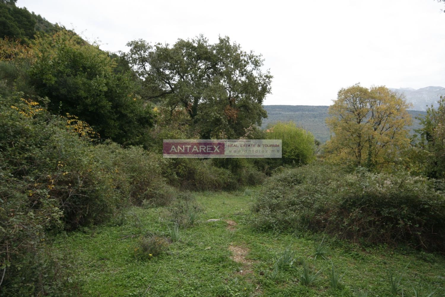 Plac-s-pogledom-na-more-u-Mrcevcu-Tivat-3 Plac 30.000 m² – Tivat — fotografija 4
