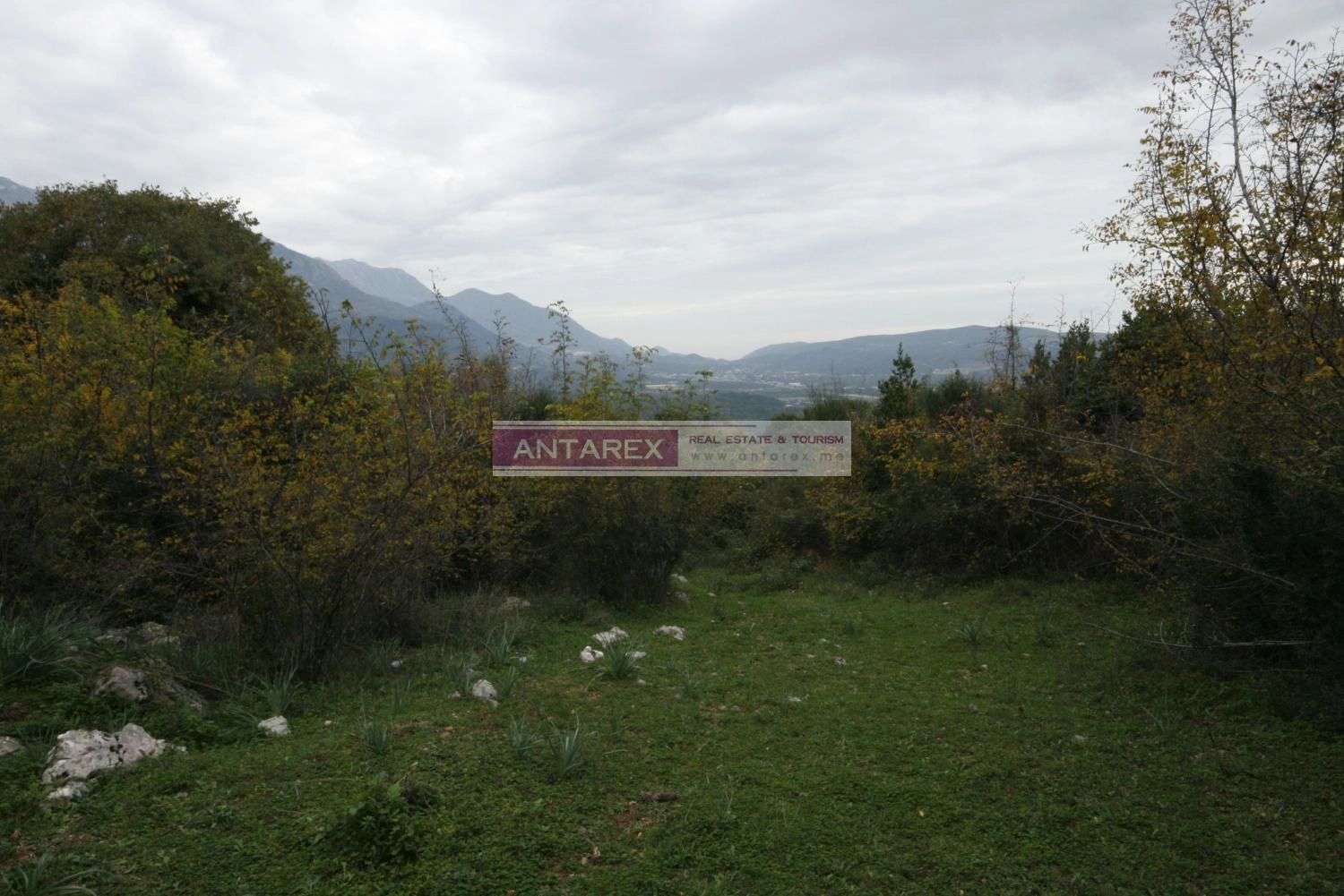 Plac-s-pogledom-na-more-u-Mrcevcu-Tivat-4 Plac 30.000 m² – Tivat — fotografija 5