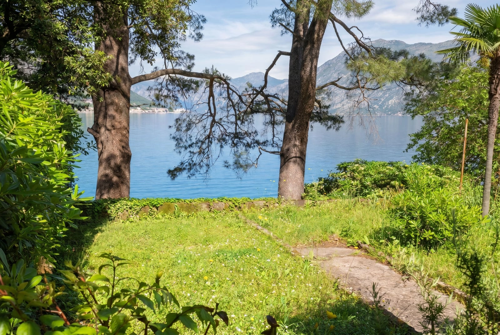 Plac 900 m² – Dobrota, Kotor — fotografija 2