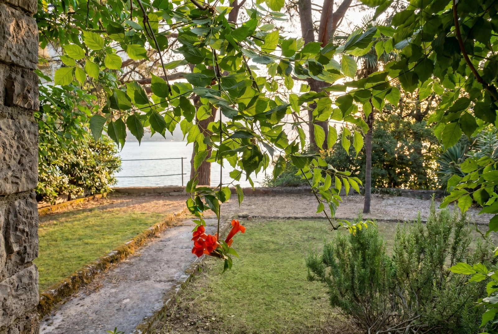 Plac 900 m² – Dobrota, Kotor — fotografija 6
