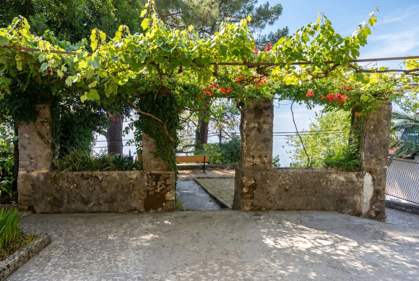 Plac 900 m² – Dobrota, Kotor — fotografija 7