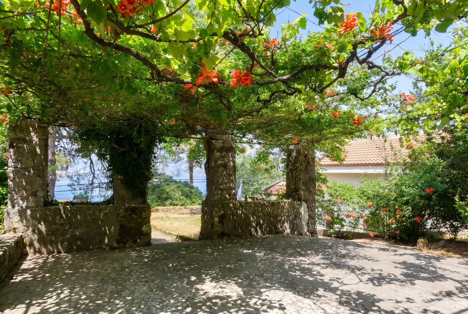 Plac 900 m² – Dobrota, Kotor — fotografija 8