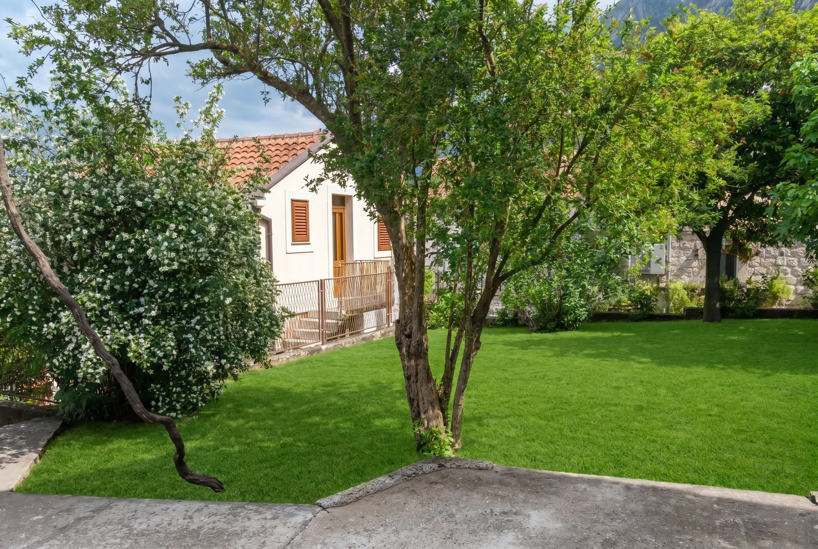 Plac 900 m² – Dobrota, Kotor — fotografija 10