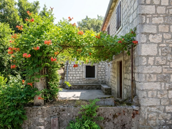 Plac 900 m² – Dobrota, Kotor — fotografija 13