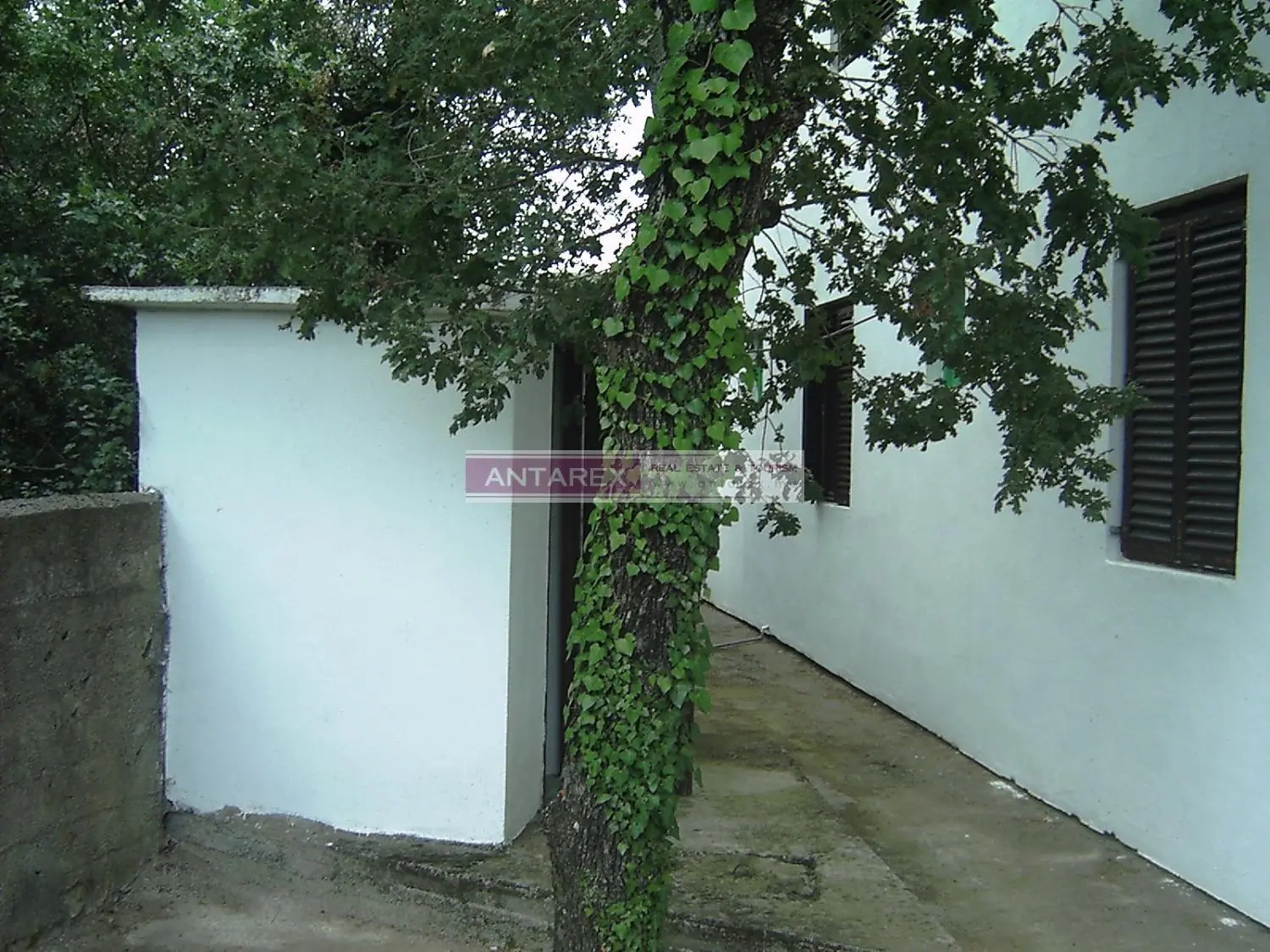 Kuca-sa-apartmanima-na-Lustici-5 Kuća 240 m² – Luštica — fotografija 6