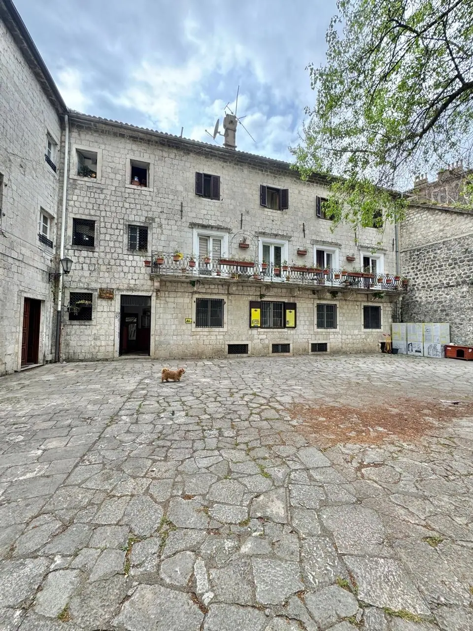 Dvosoban-stan-u-Starom-gradu-Kotor-13 Dvosoban stan 73 m² – Kotor — fotografija 14