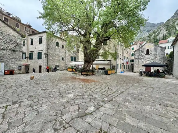 Dvosoban stan 73 m² – Kotor — fotografija 16