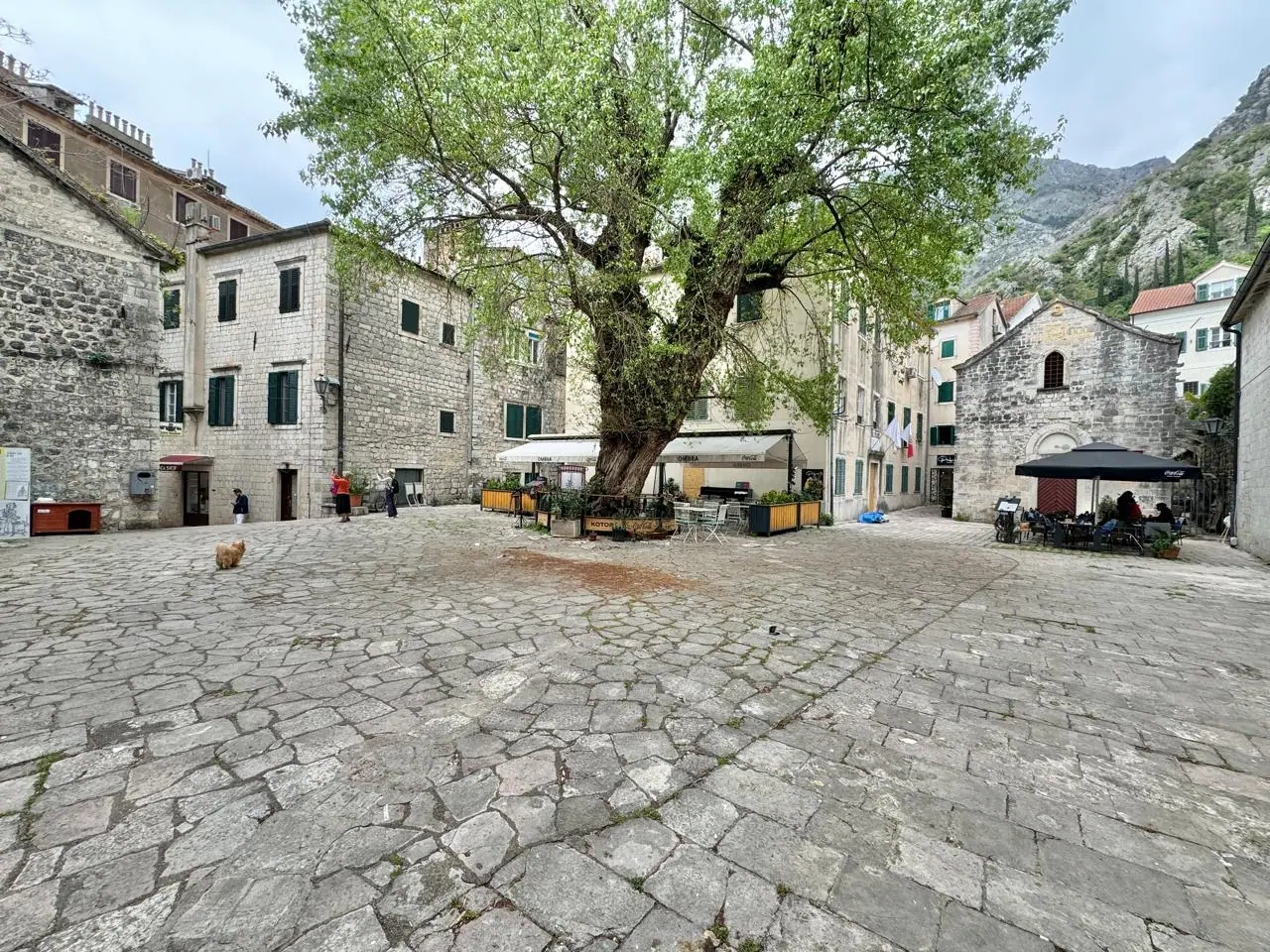 Dvosoban-stan-u-Starom-gradu-Kotor-15 Dvosoban stan 73 m² – Kotor — fotografija 16