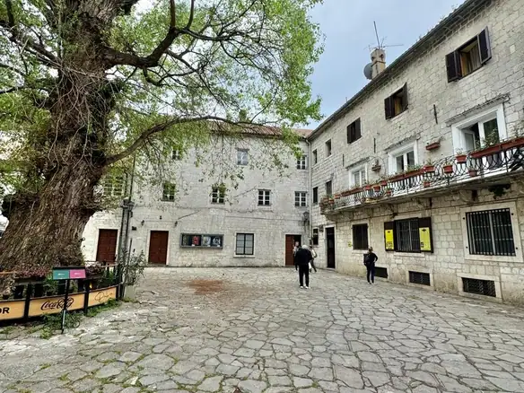 Dvosoban stan 73 m² – Kotor — fotografija 19