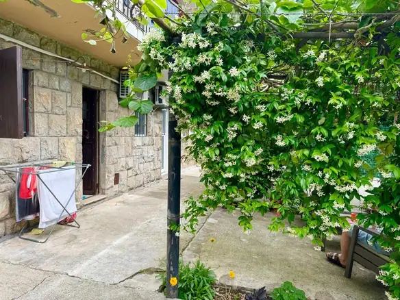 Jednosoban stan 23 m² – Gospoština, Budva — fotografija 14