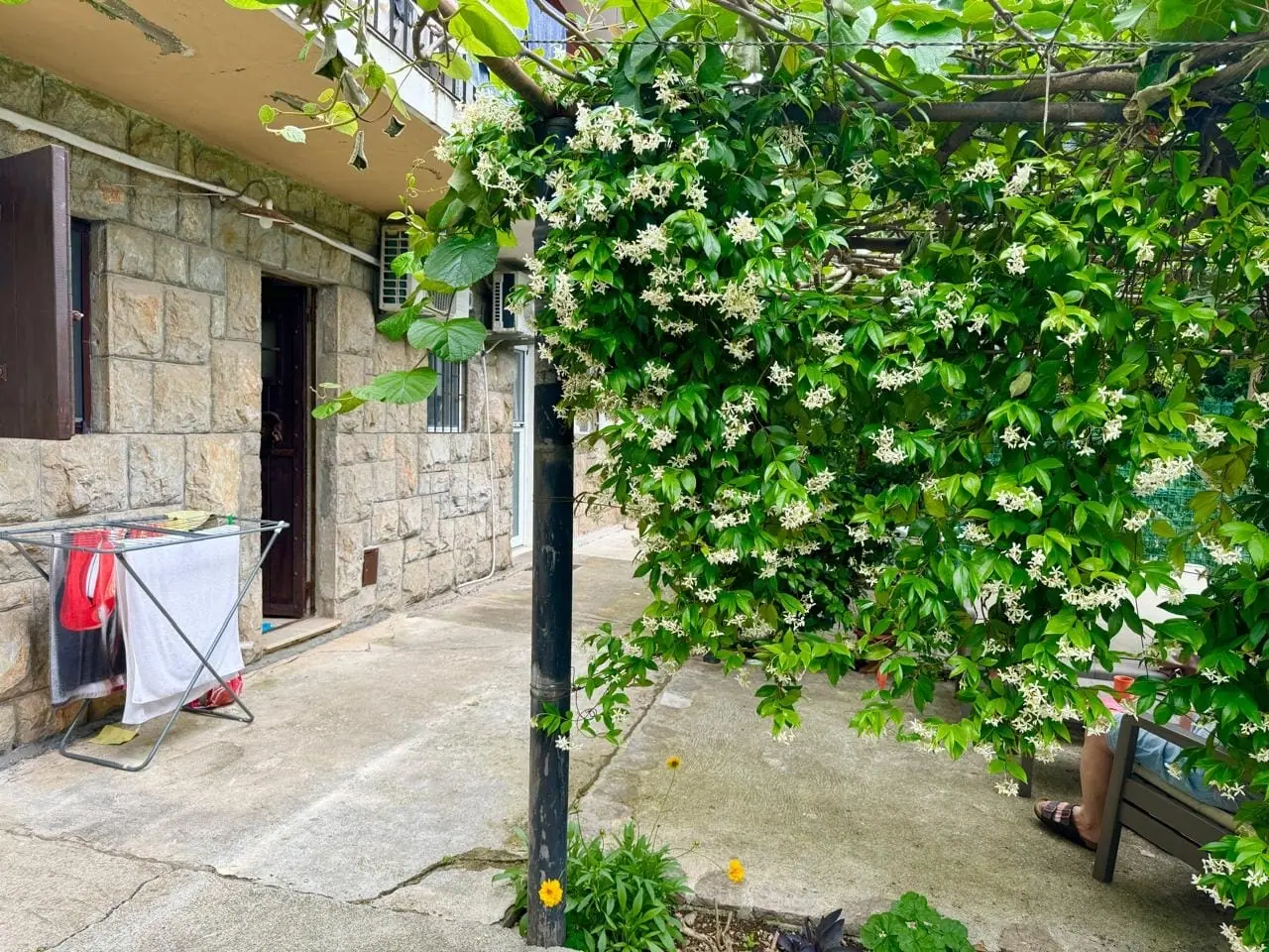 Jednosoban stan 23 m² – Gospoština, Budva — fotografija 14