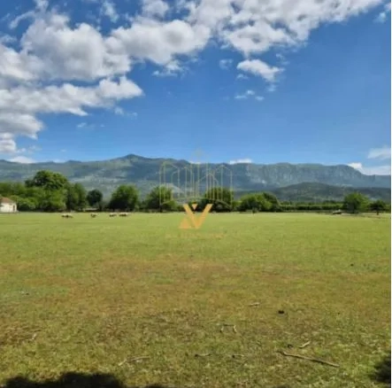Bjelopavlići – Danilovgrad