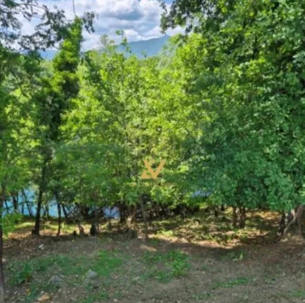 Plac 13.000 m² – Bjelopavlići, Danilovgrad — fotografija 3