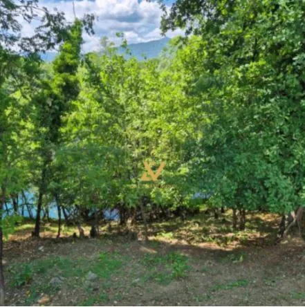 Plac 13.000 m² – Bjelopavlići, Danilovgrad — fotografija 3